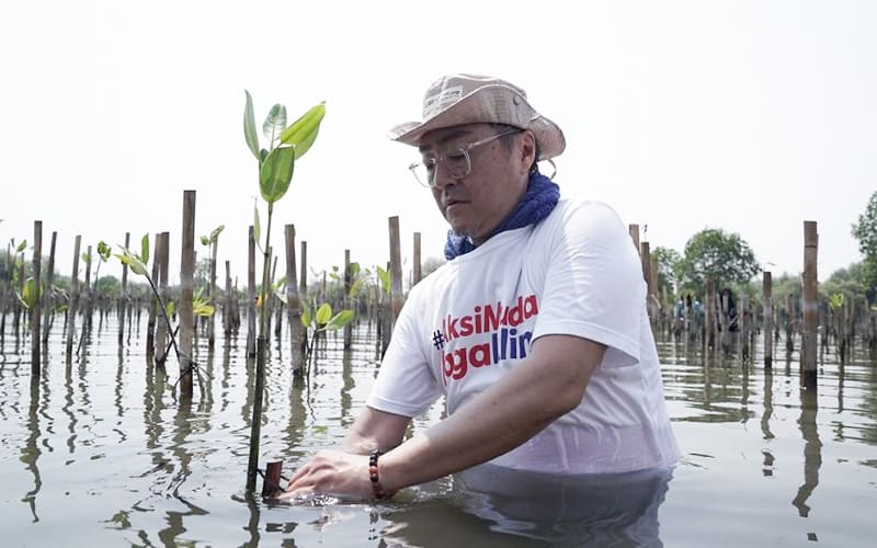Mangrove Planting Activities in Indonesia