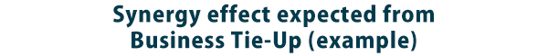 Synergy effect expected from Business Tie-Up (example)