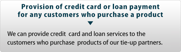 Provision of credit card or loan payment for any customers who purchase a product
