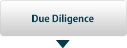 Due Diligence