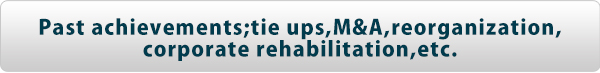 Past achievements;tie ups,M&A,reorganization,corporate rehabilitation,etc.